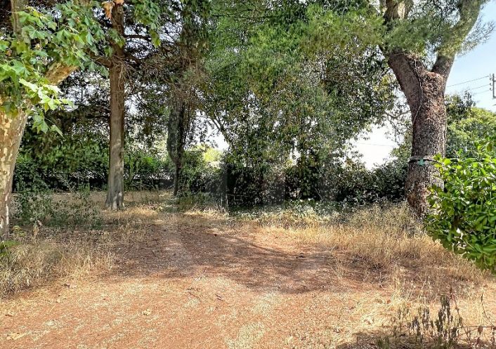 location Bastide Mauguio