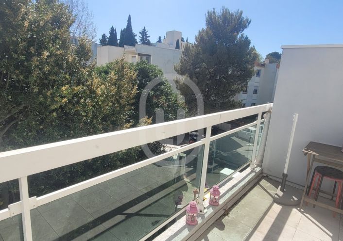 location Appartement Montpellier