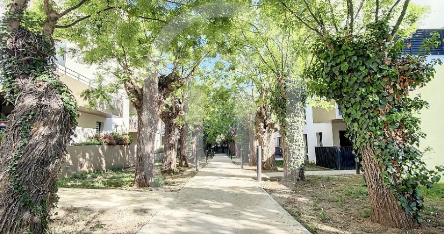 location Appartement Montpellier
