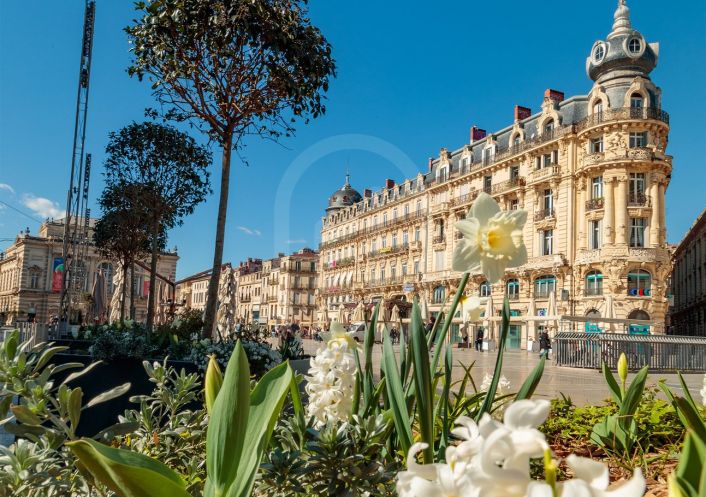 location Appartement Montpellier