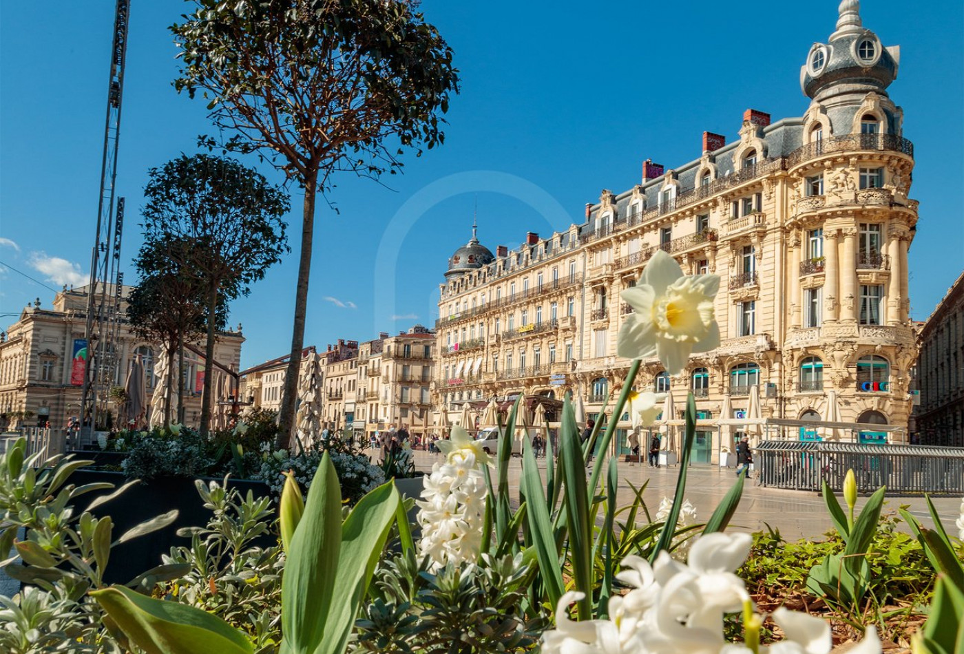 location Appartement Montpellier - Photo 8