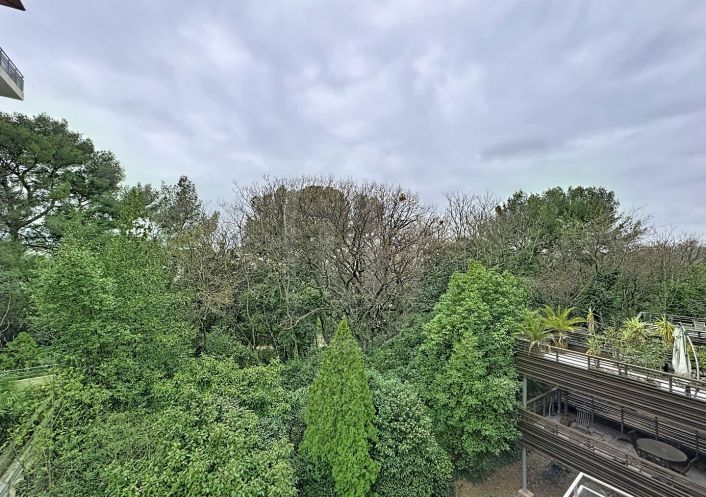 location Appartement Montpellier