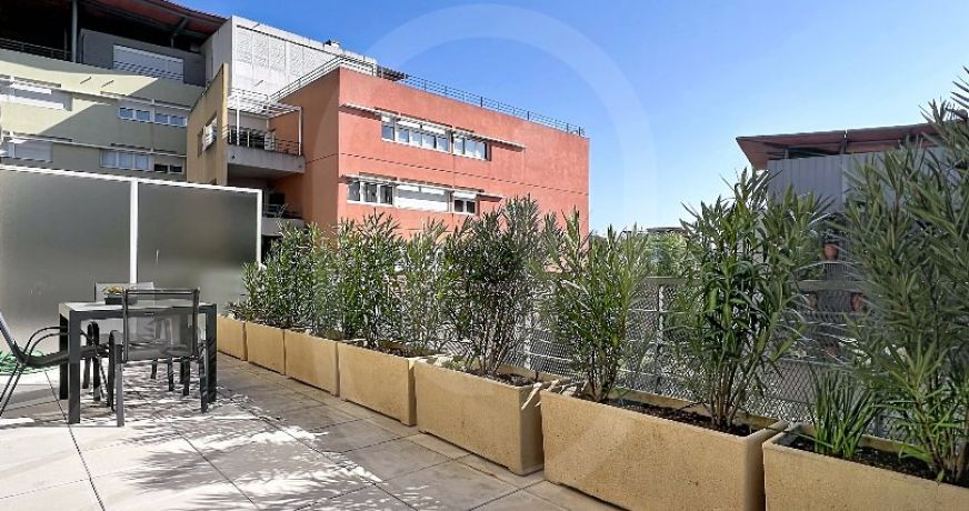 location Appartement Montpellier