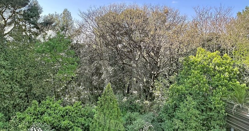 location Appartement Montpellier
