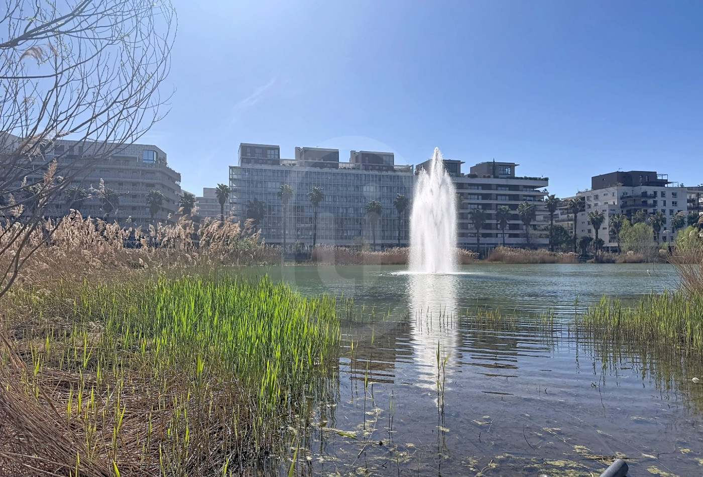 location Appartement Montpellier - Photo 10