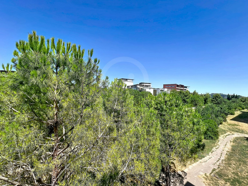 location Appartement Montpellier - Photo 9