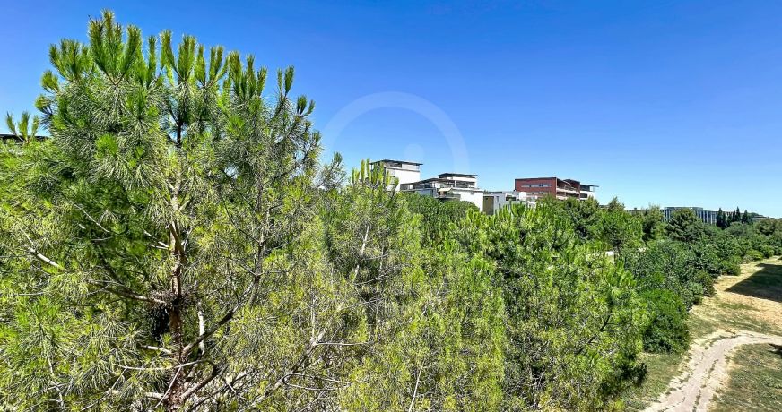location Appartement Montpellier