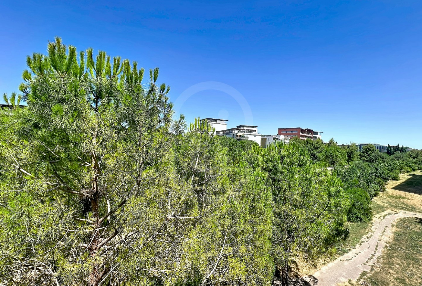 location Appartement Montpellier - Photo 9