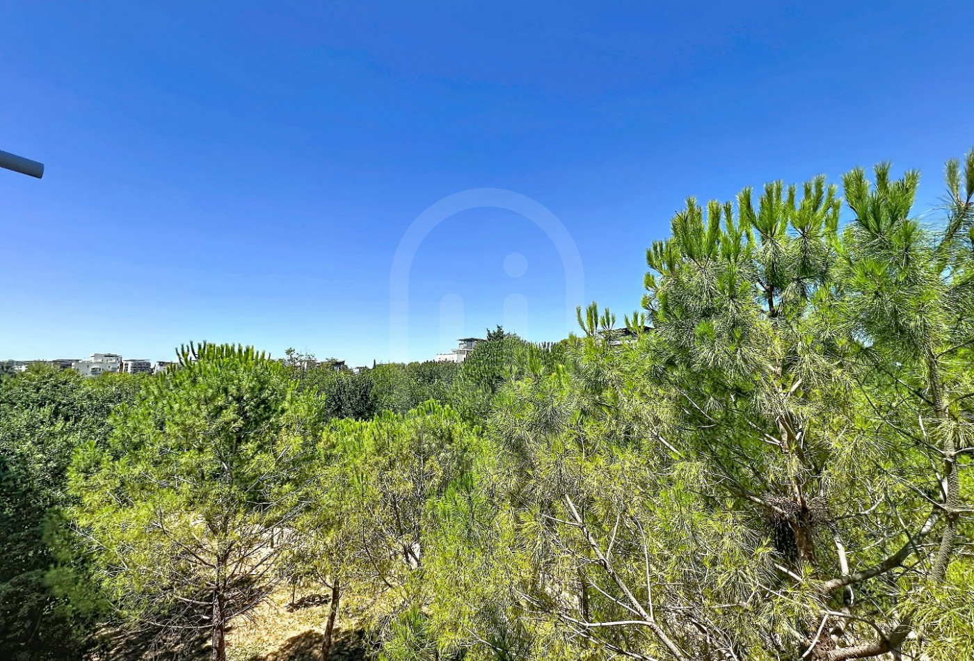 location Appartement Montpellier - Photo 10