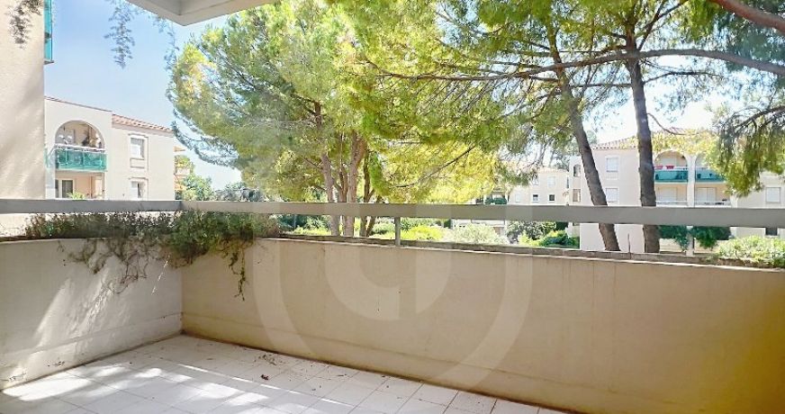 location Appartement Montpellier