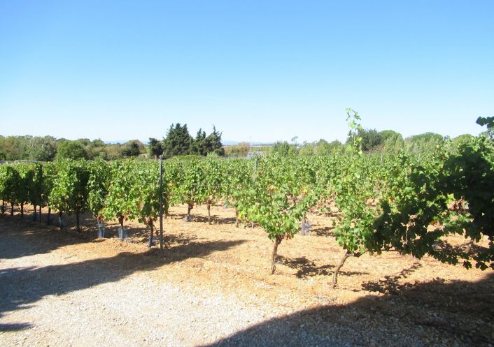 vente Terrain agricole Portiragnes