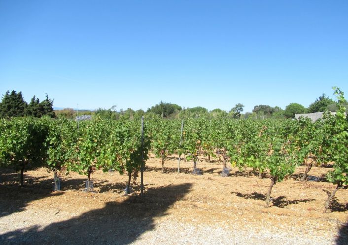vente Terrain agricole Portiragnes