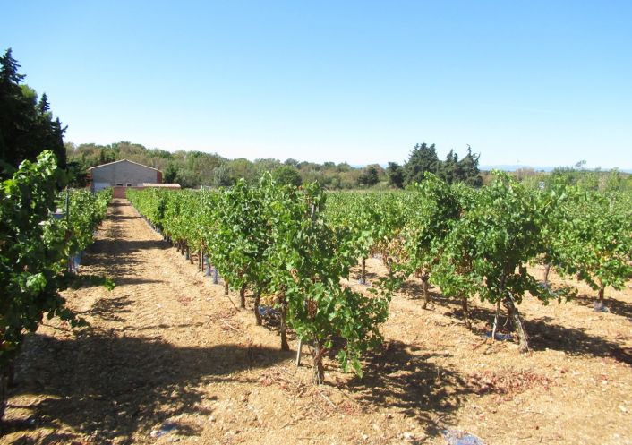 vente Terrain agricole Portiragnes