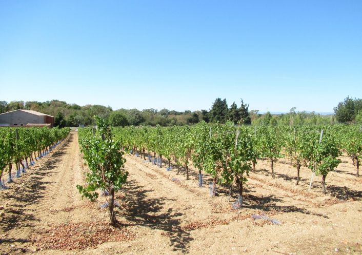 vente Terrain agricole Portiragnes