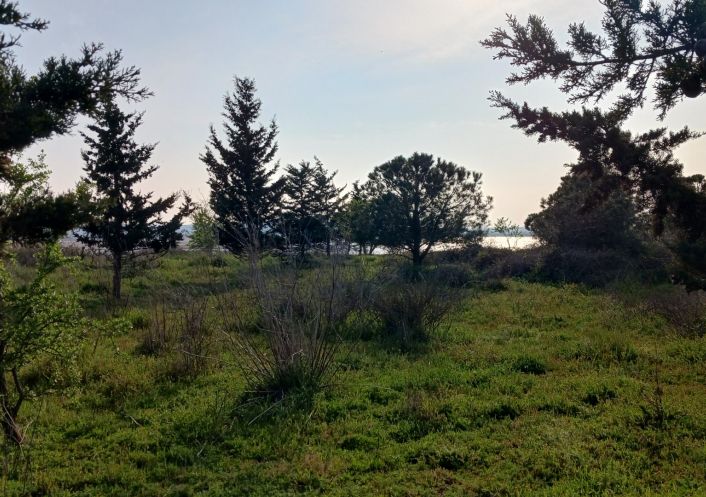 vente Terrain agricole Vendres