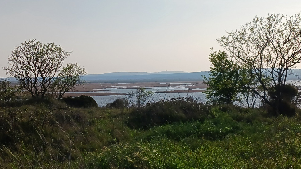 vente Terrain agricole Vendres - Photo 4