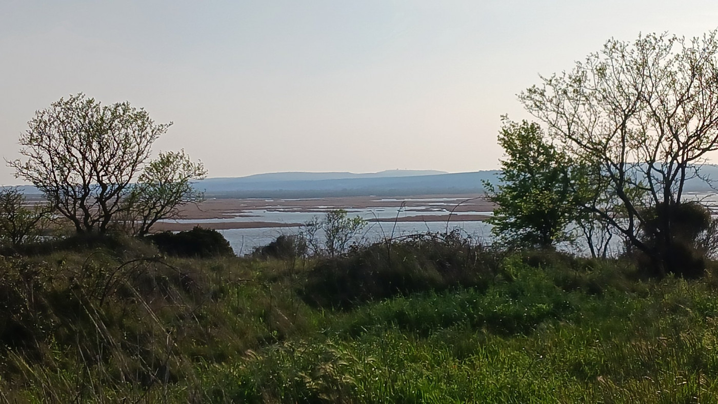 vente Terrain agricole Vendres - Photo 4