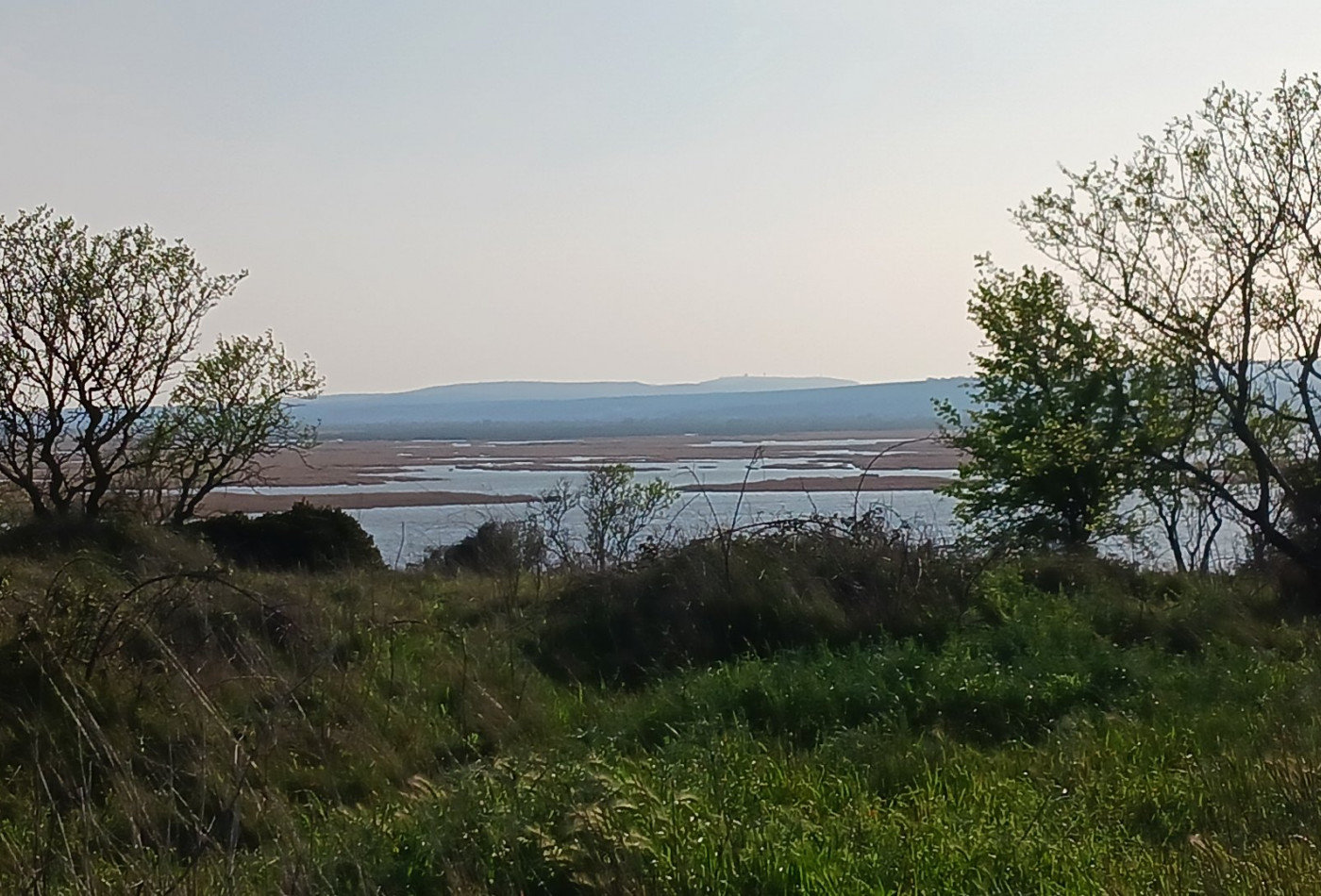 vente Terrain agricole Vendres - Photo 4