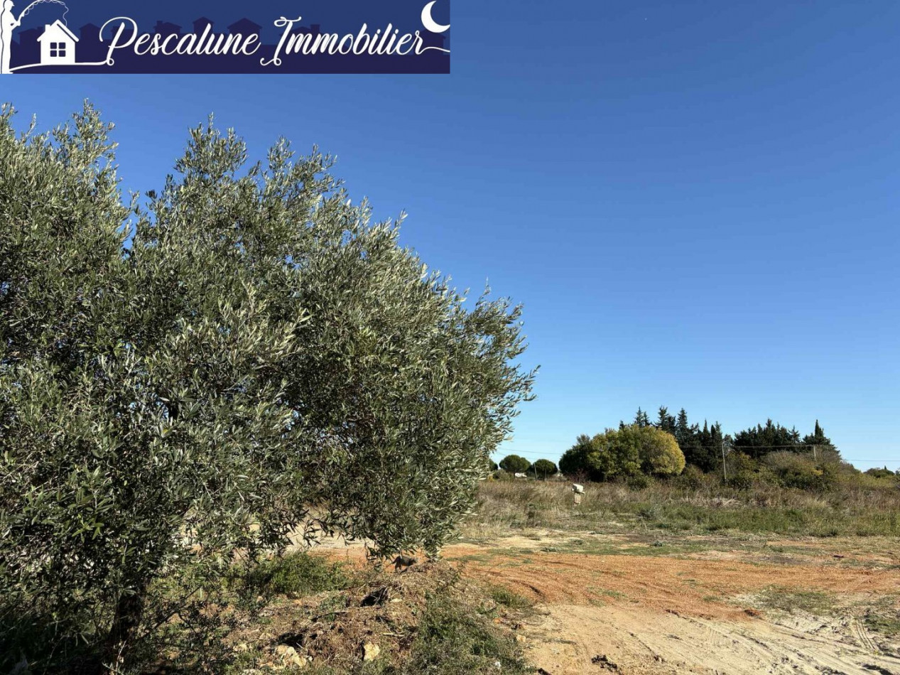 vente Maison Lunel - Photo 7