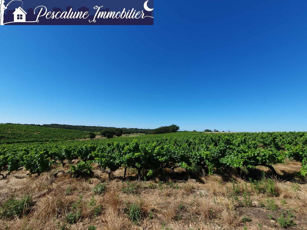 sale Propriété viticole Vauvert - Photo 2