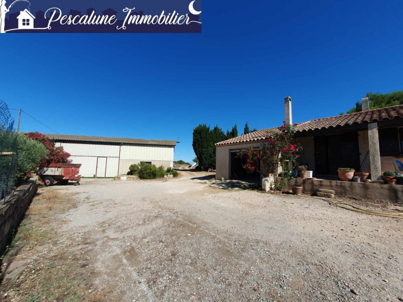 vente Propriété viticole Vauvert - Photo 1