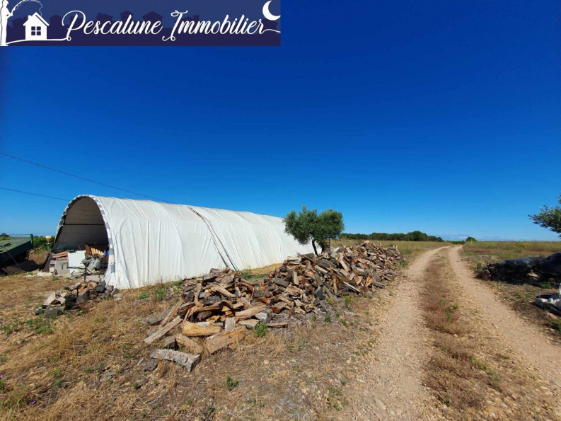 vente Propriété viticole Vauvert - Photo 7