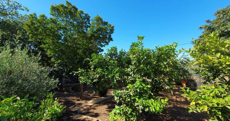 vente Propriété viticole Vauvert