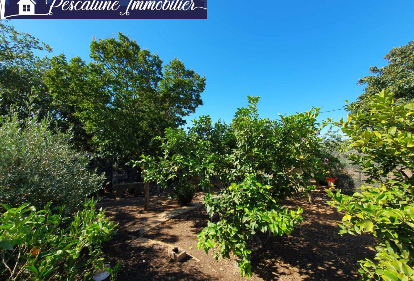 vente Propriété viticole Vauvert - Photo 5