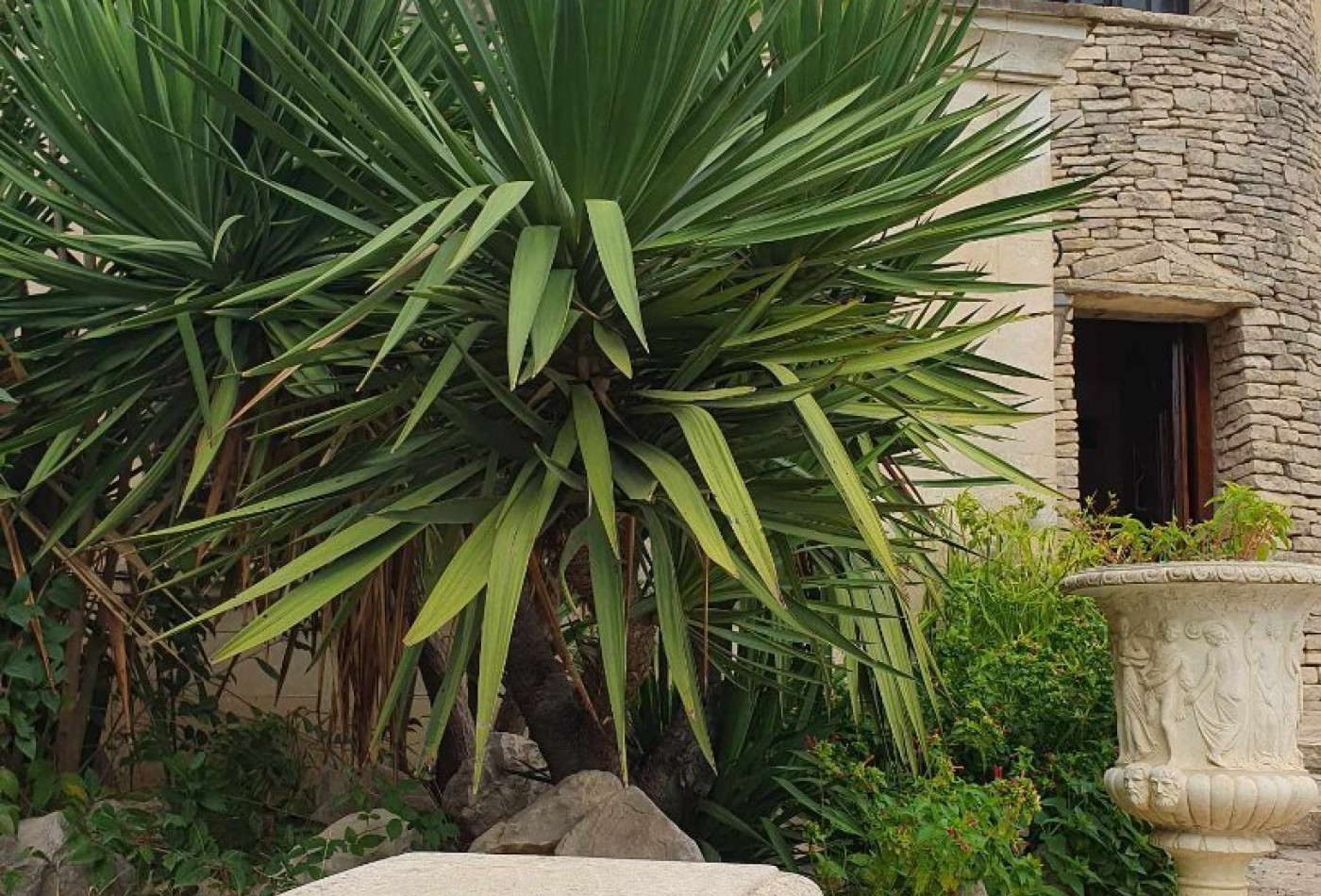 vente Demeure de ville et village Lunel - Photo 2