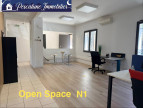 location Local commercial Lunel