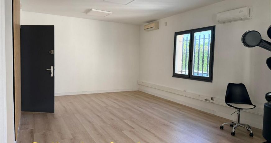 location Local commercial Lunel