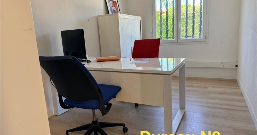 location Local commercial Lunel