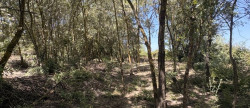 vente Terrain agricole Aimargues