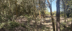 vente Terrain agricole Aimargues