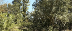 vente Terrain agricole Aimargues
