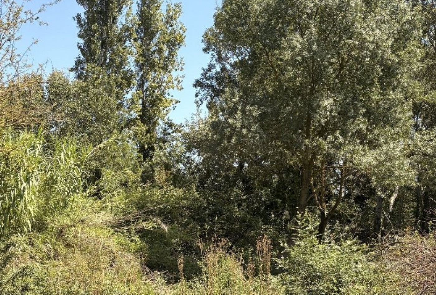 vente Terrain agricole Aimargues - Photo 2