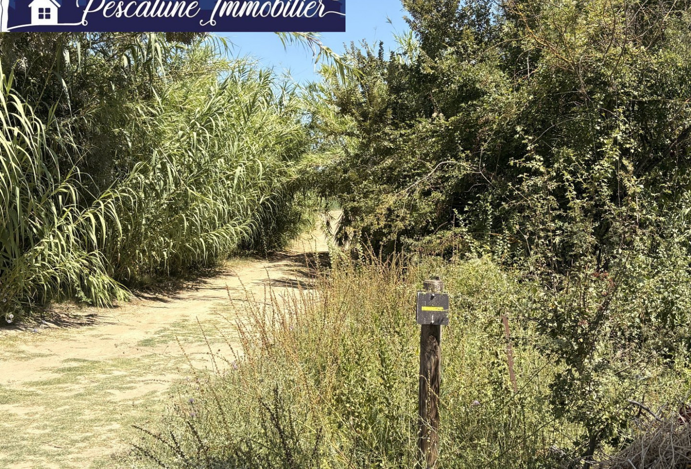 vente Terrain agricole Aimargues - Photo 2