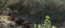 vente Terrain agricole Aimargues
