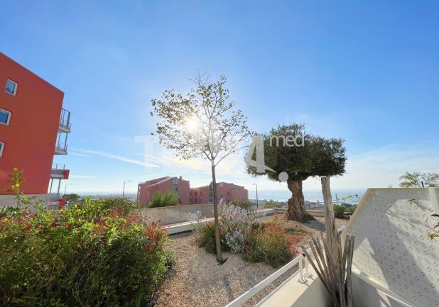 vente Appartement Sete