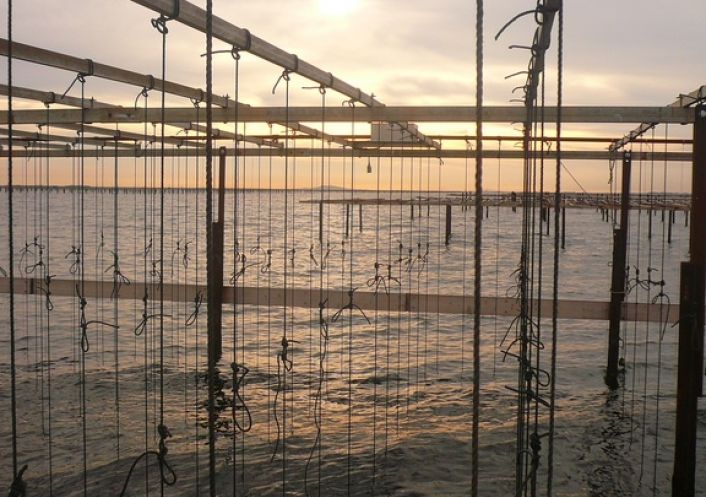 en location saisonnière Appartement Sète