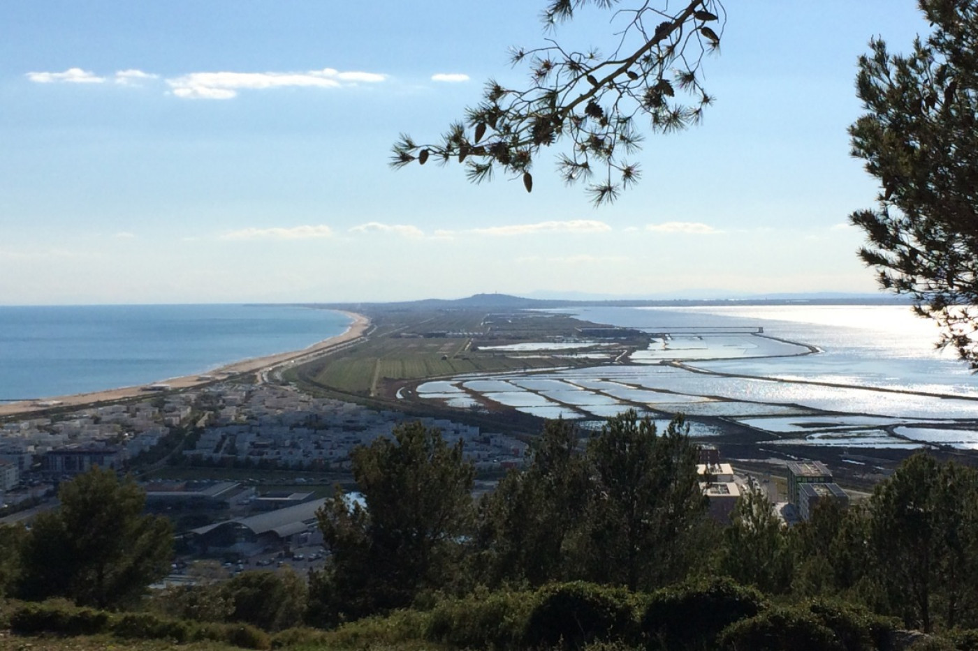 en location saisonnière Appartement Sète - Photo 13