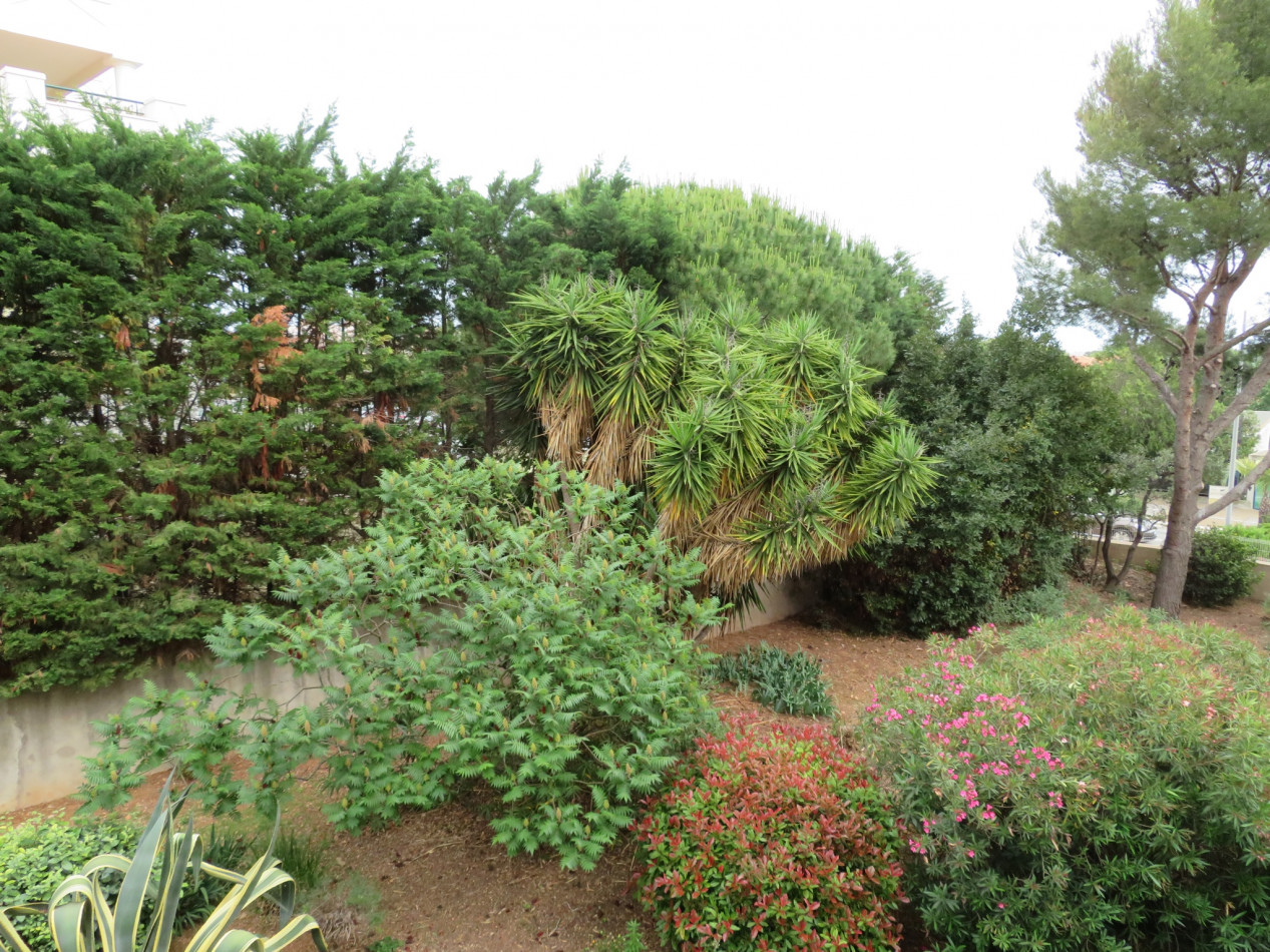 en location saisonnière Appartement Sète - Photo 7