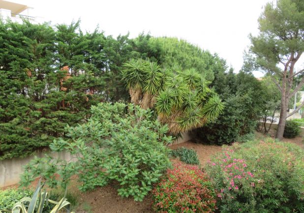 en location saisonnière Appartement Sète