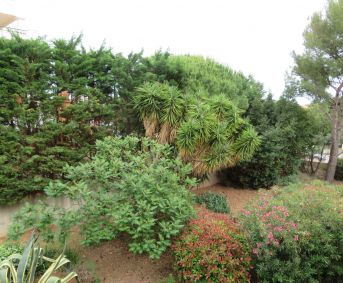 en location saisonnière Appartement Sète