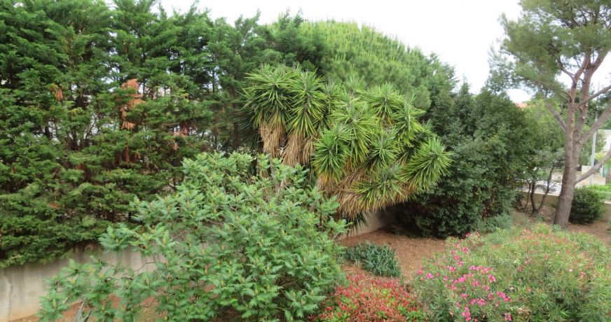 en location saisonnière Appartement Sète