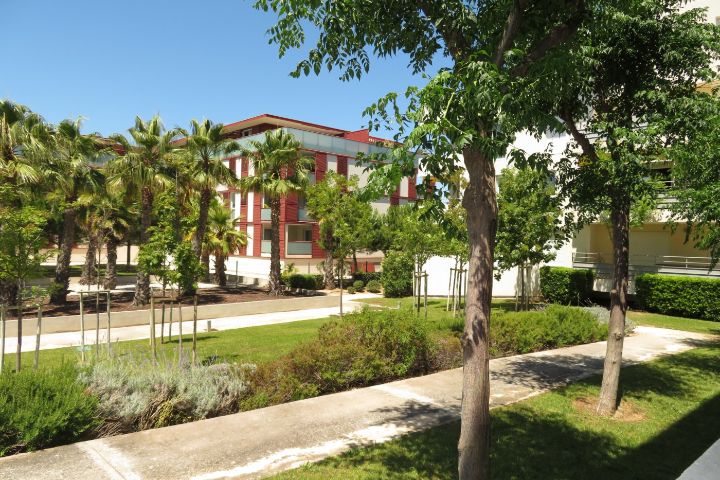 en location saisonnière Appartement Sète - Photo 6