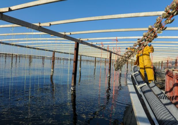 en location saisonnière Appartement Sète