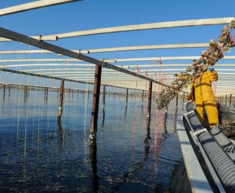 en location saisonnière Appartement Sète