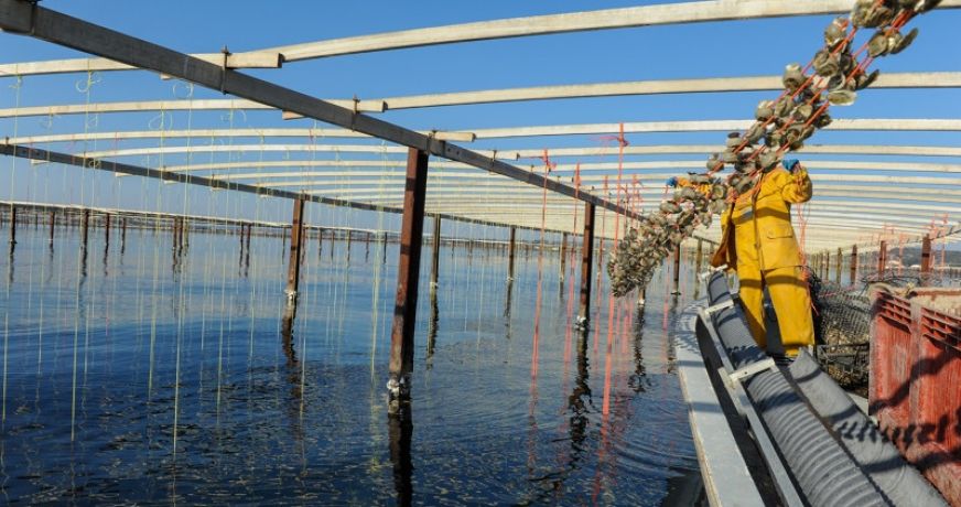 en location saisonnière Appartement Sète