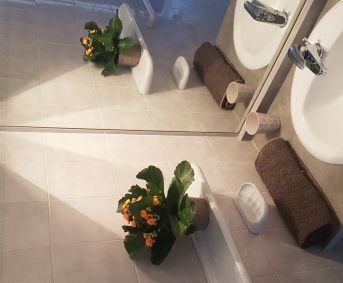 en location saisonnière Appartement Sète